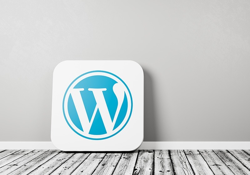 Custom WordPress Development South Shields