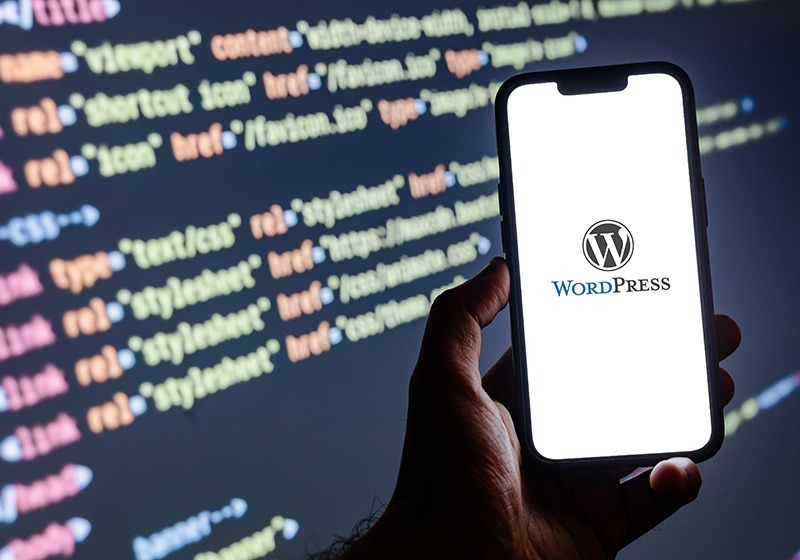 Website Design Services - WordPress Development